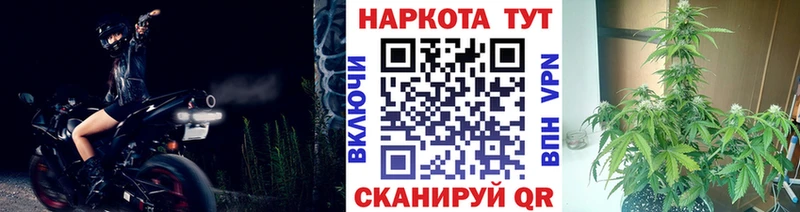 Где найти наркотики Богородицк Cocaine  СК  Мефедрон  ГАШИШ  Марихуана 