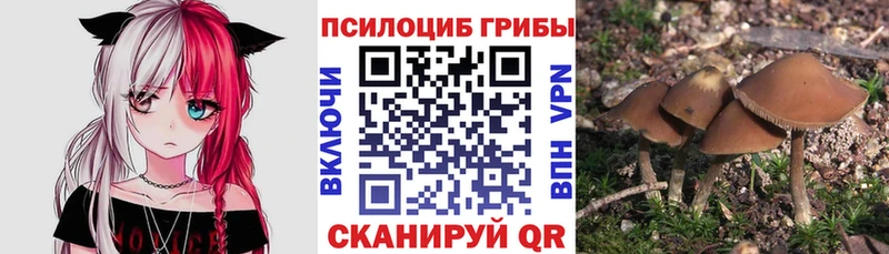 kraken   площадка состав  Галлюциногенные грибы MAGIC MUSHROOMS  Богородицк 